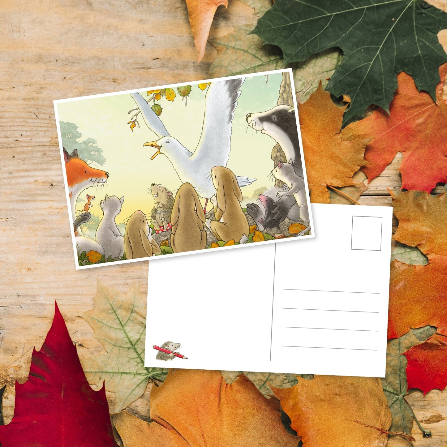 Percy The Park Keeper Books A Flying Visit - hardback book - now includes exclusive free postcard