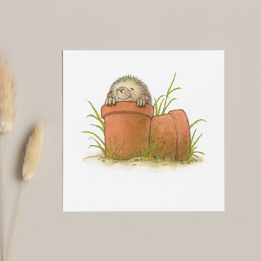 Percy The Park Keeper Greetings Card Hedgehog in a flower pot greeting cards - set of six