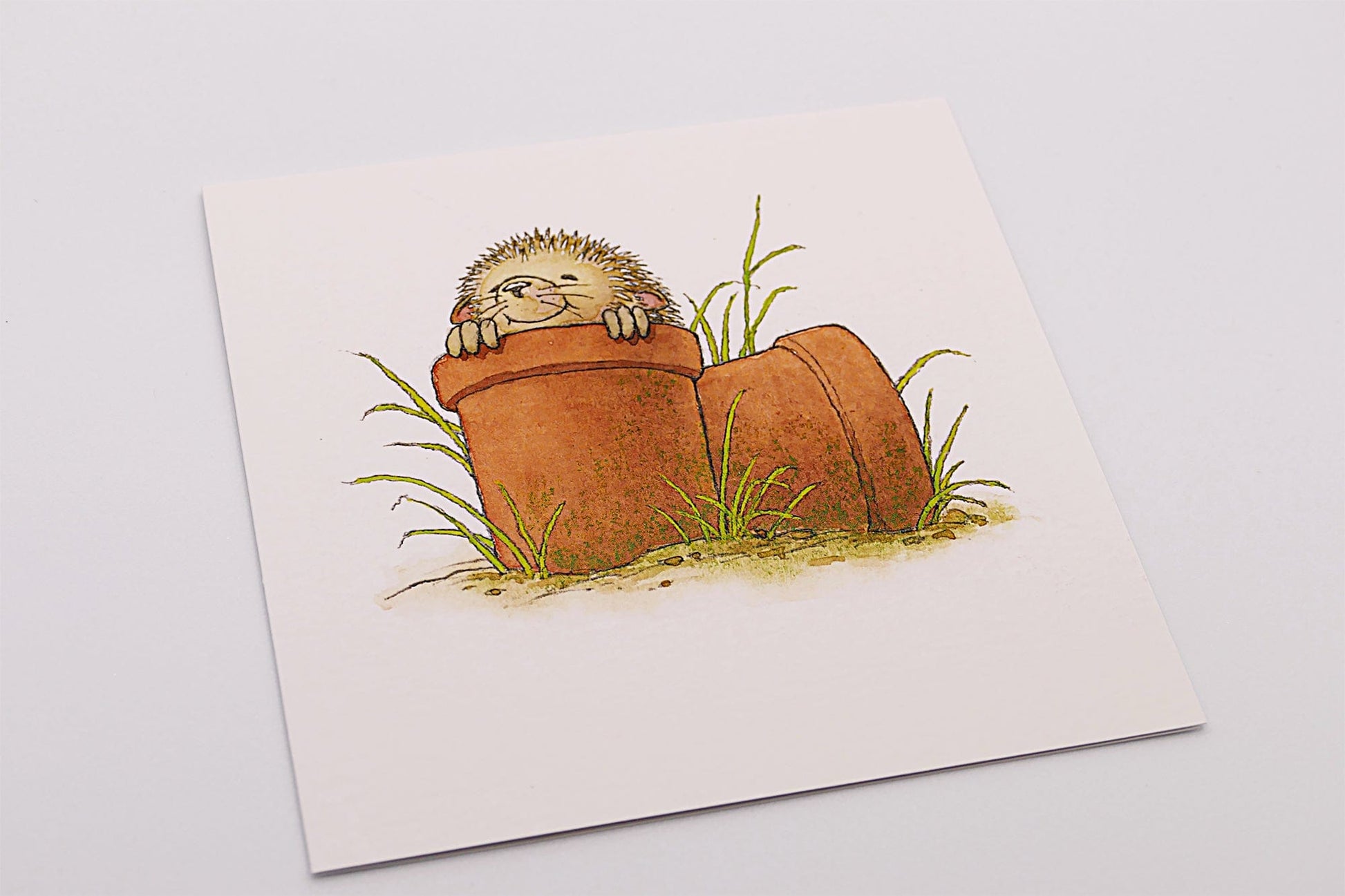 Percy The Park Keeper Greetings Card Hedgehog in a flower pot greeting cards - set of six