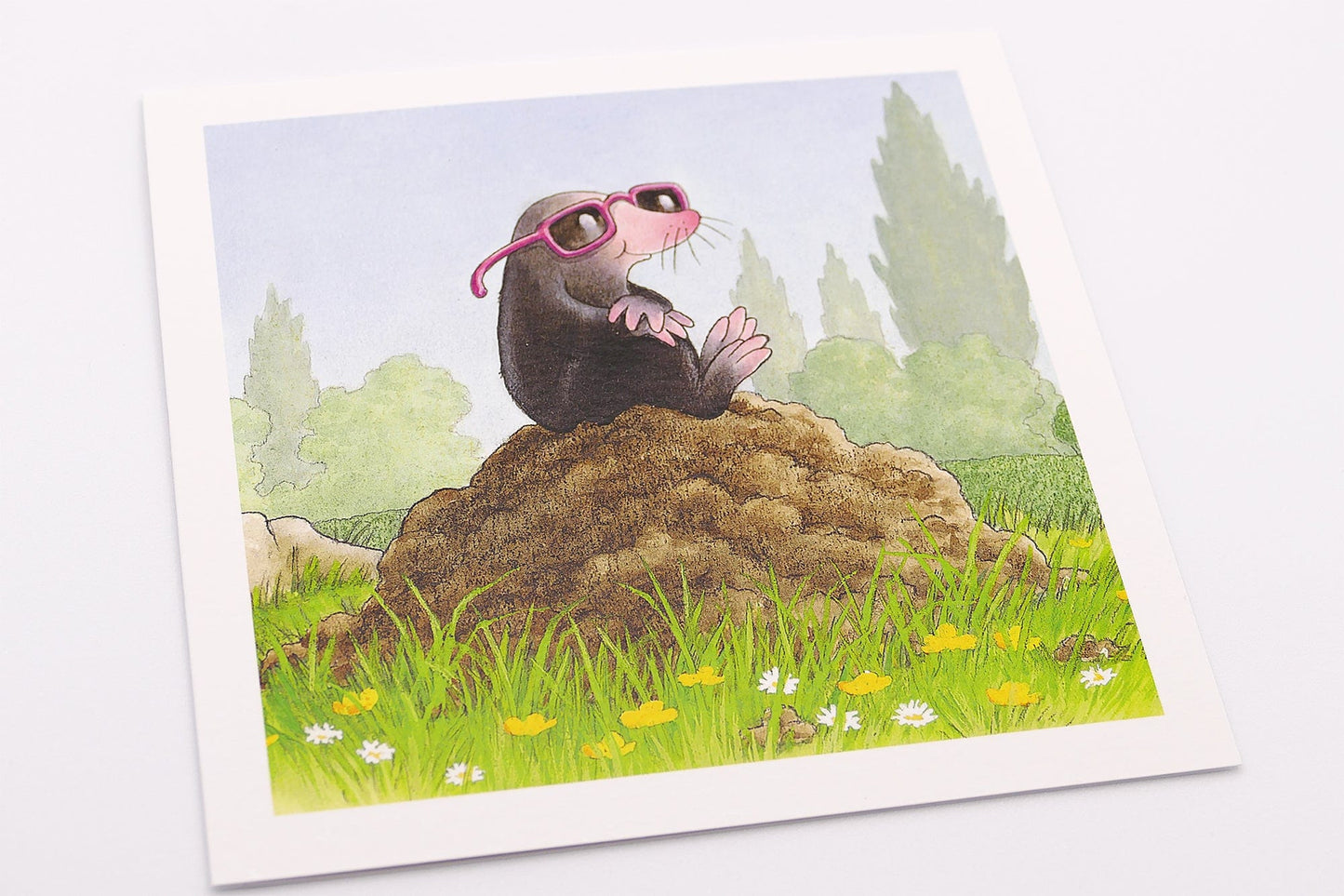 Percy The Park Keeper Greetings Card Mole looking cool on his molehill greeting cards - set of six