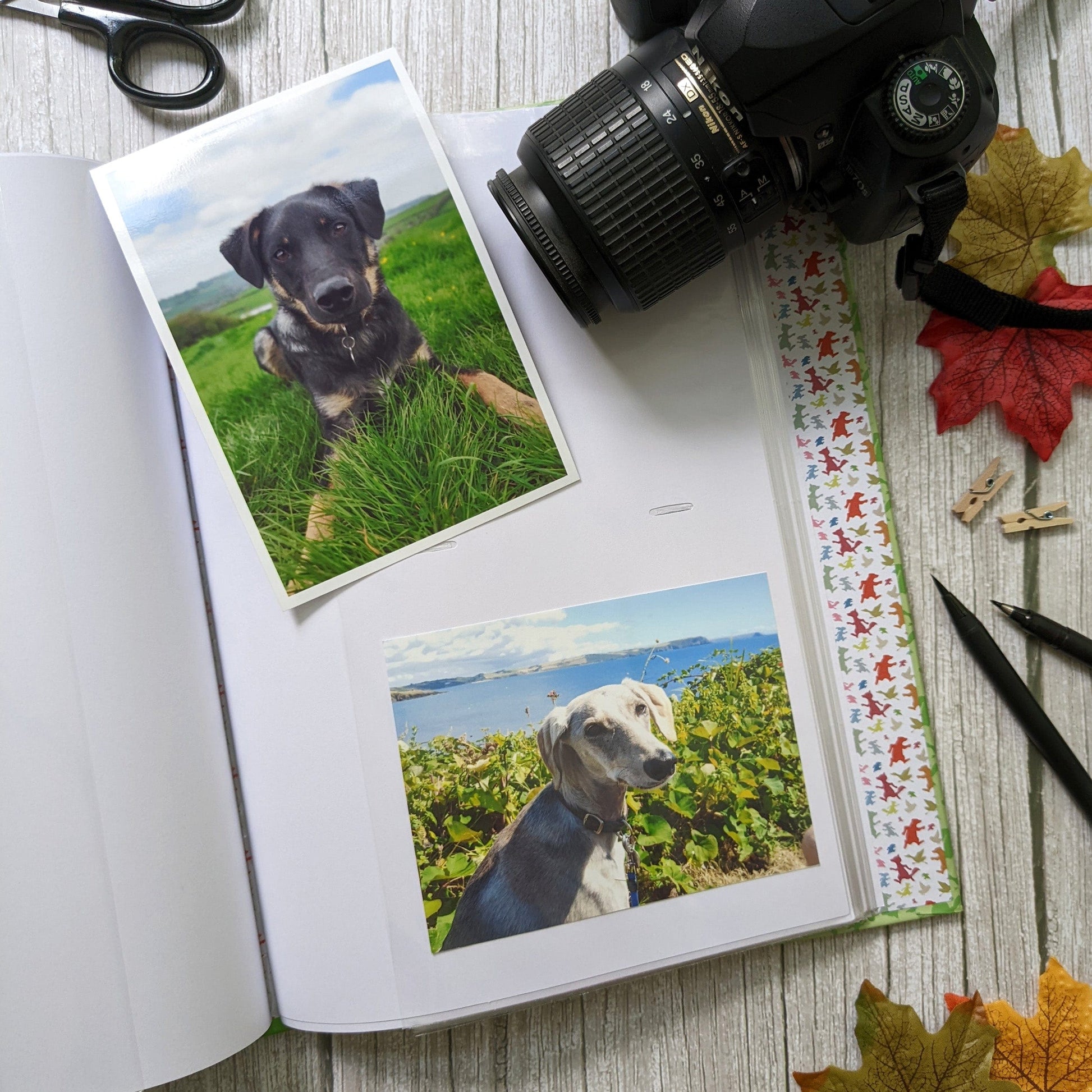 Percy The Park Keeper Photo album Percy's photo album in a box