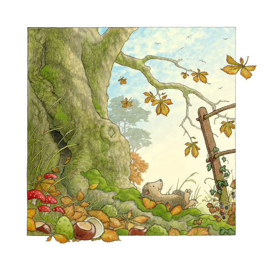 Percy The Park Keeper Signed Print Exclusive free print - Hedgehog daydreaming
